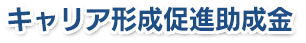 キャリア形成促進助成金