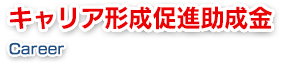 キャリア形成促進助成金